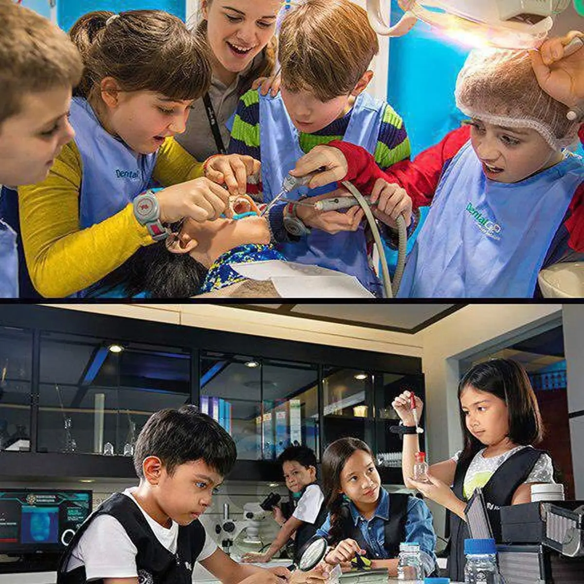 پارک کار / عکس