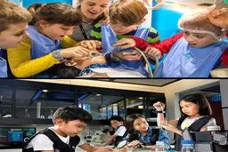 پارک کار / عکس