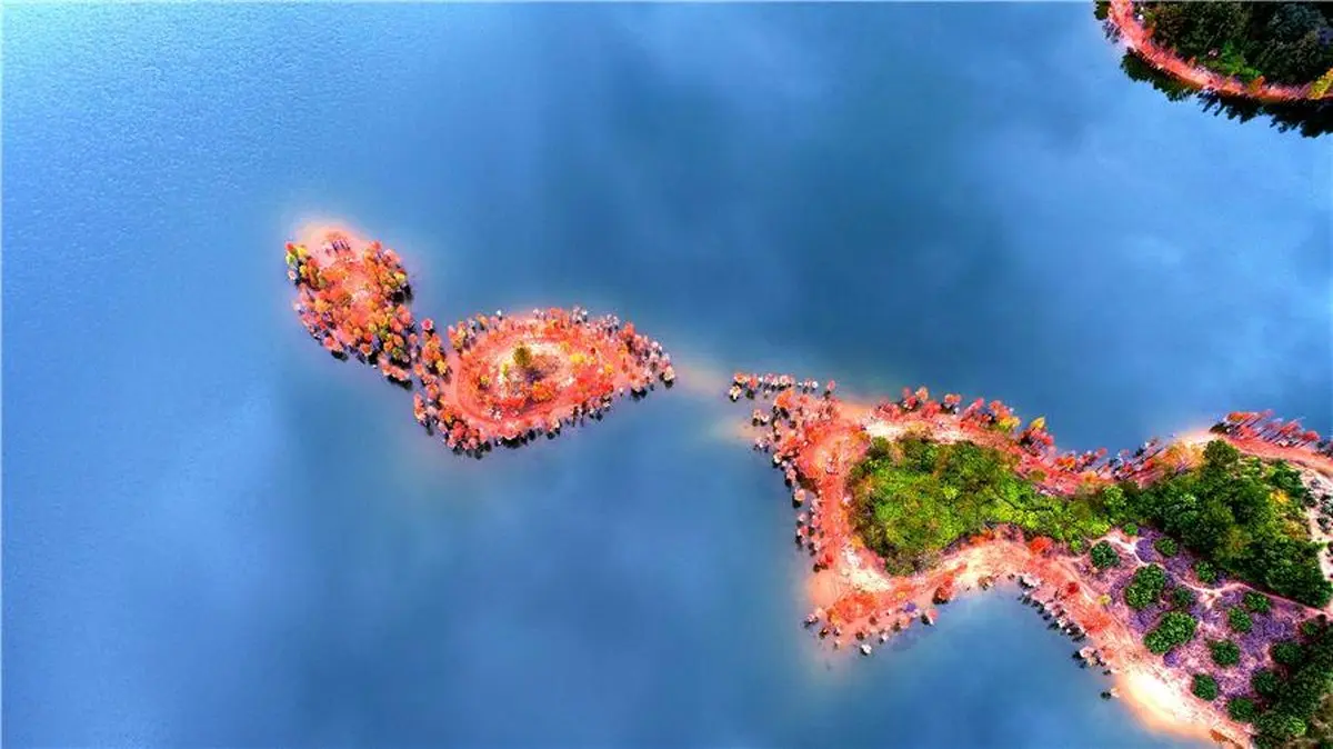 تصاویری فوق العاده از جنگل هزار رنگ چین