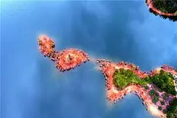 تصاویری فوق العاده از جنگل هزار رنگ چین