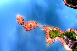 تصاویری فوق العاده از جنگل هزار رنگ چین