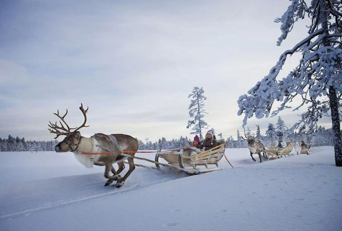 نقطه ای از فنلاند که ۷۳ روز و ۵۱ شب دارد!!! / عکس