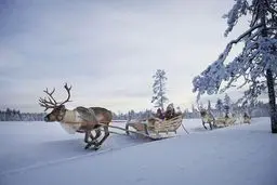 نقطه ای از فنلاند که ۷۳ روز و ۵۱ شب دارد!!! / عکس