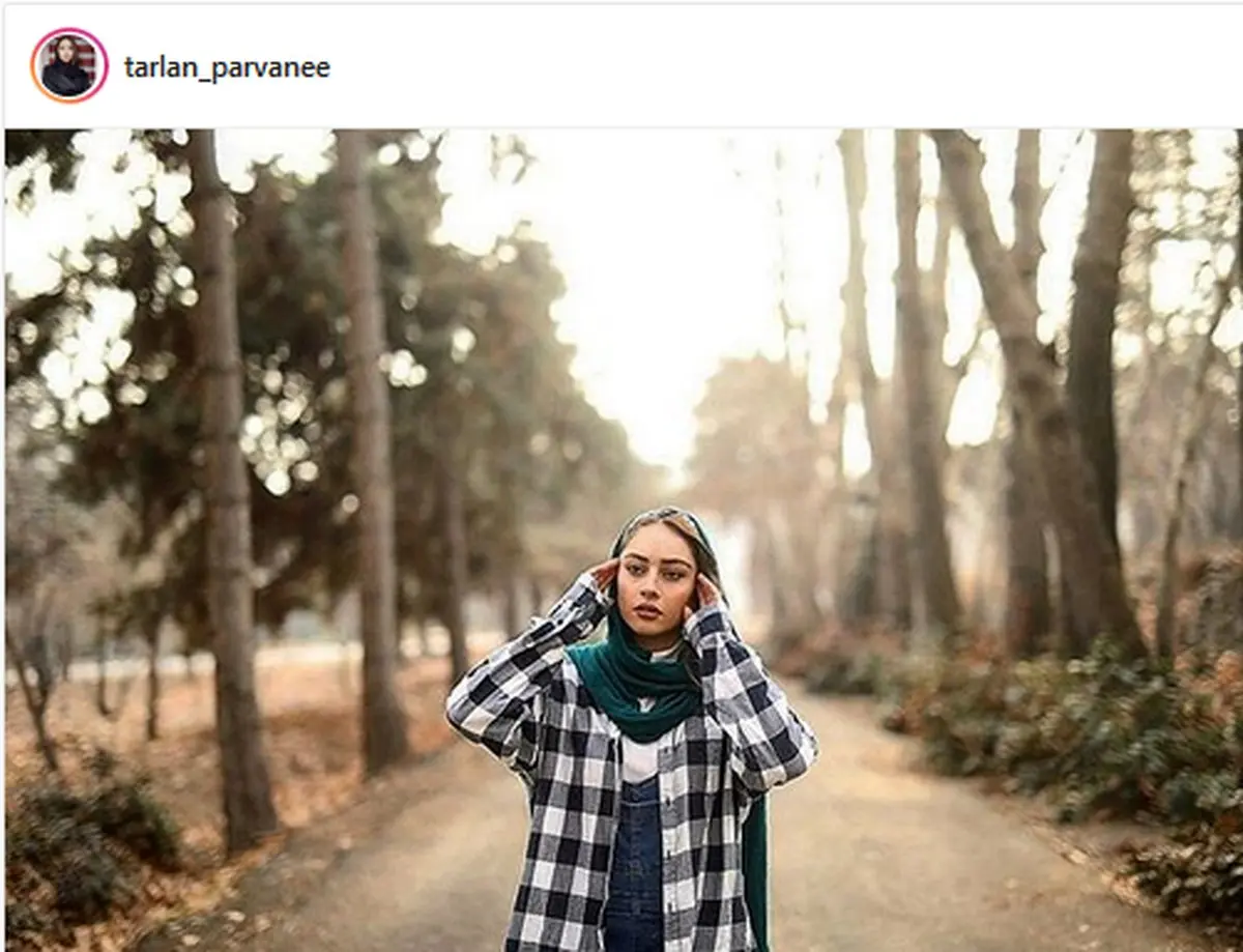 سردرگمی های عاشقانه «ترلان پروانه» /عکس