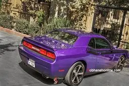 عکس/ غول بنفش آمریکایی در تهران