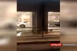 نمایشگاه مرسدس هم از آتش و غارت در امان نماند! + ویدئو