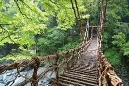 عکس / پل زیبا و رویایی ای‌یا ولی واین در ژاپن