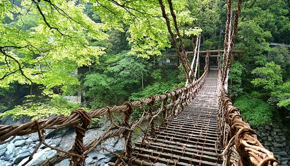 عکس / پل زیبا و رویایی ای‌یا ولی واین در ژاپن