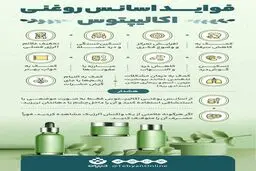 فواید اسانس روغنی اکالیپتوس