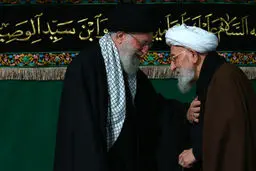 تصاویری از مرحوم آیت‌الله مهدوی کنی در کنار رهبر انقلاب