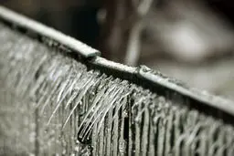 ژنو یخ زده (+عکس)