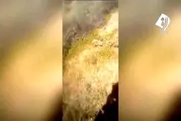 ببينيد: هجوم صدها هزار ملخ به کشور