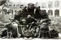 سلفی جالب شیر ها با کاپیتان!/عکس