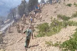 آتش سوزی جنگل‌های مریوان با حضور کارکنان تیپ ۳۲۸ مهار شد+تصاویر