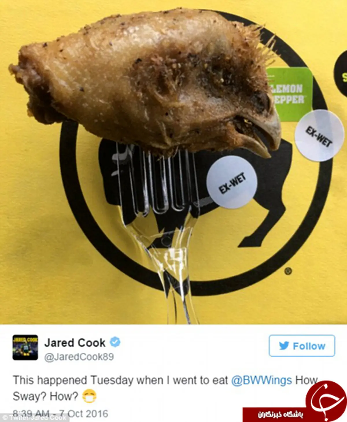 پیدا شدن سر مرغ در غذای فوتبالیست مشهور جنجال به پا کرد! +تصاویر