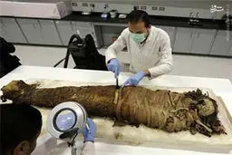 2 مومیایی مصری از فاضلاب سر درآوردند/عکس