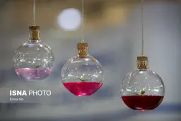 دانشکده مجازی آموزش پژوهش در علوم‌پزشکی شهید بهشتی راه‌اندازی می‌شود