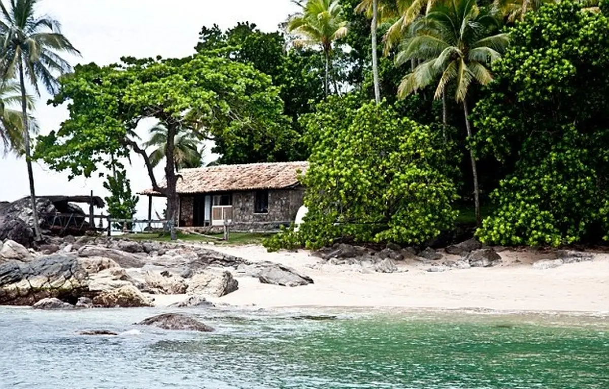 بهترین شغل دنیا یعنی این! /تصاویر