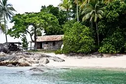 بهترین شغل دنیا یعنی این! /تصاویر