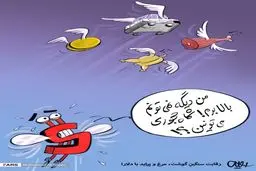 رقابت سنگین گوشت، مرغ و پراید با دلار!/کاریکاتور