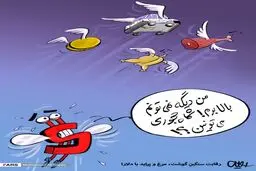 رقابت سنگین گوشت، مرغ و پراید با دلار!/کاریکاتور