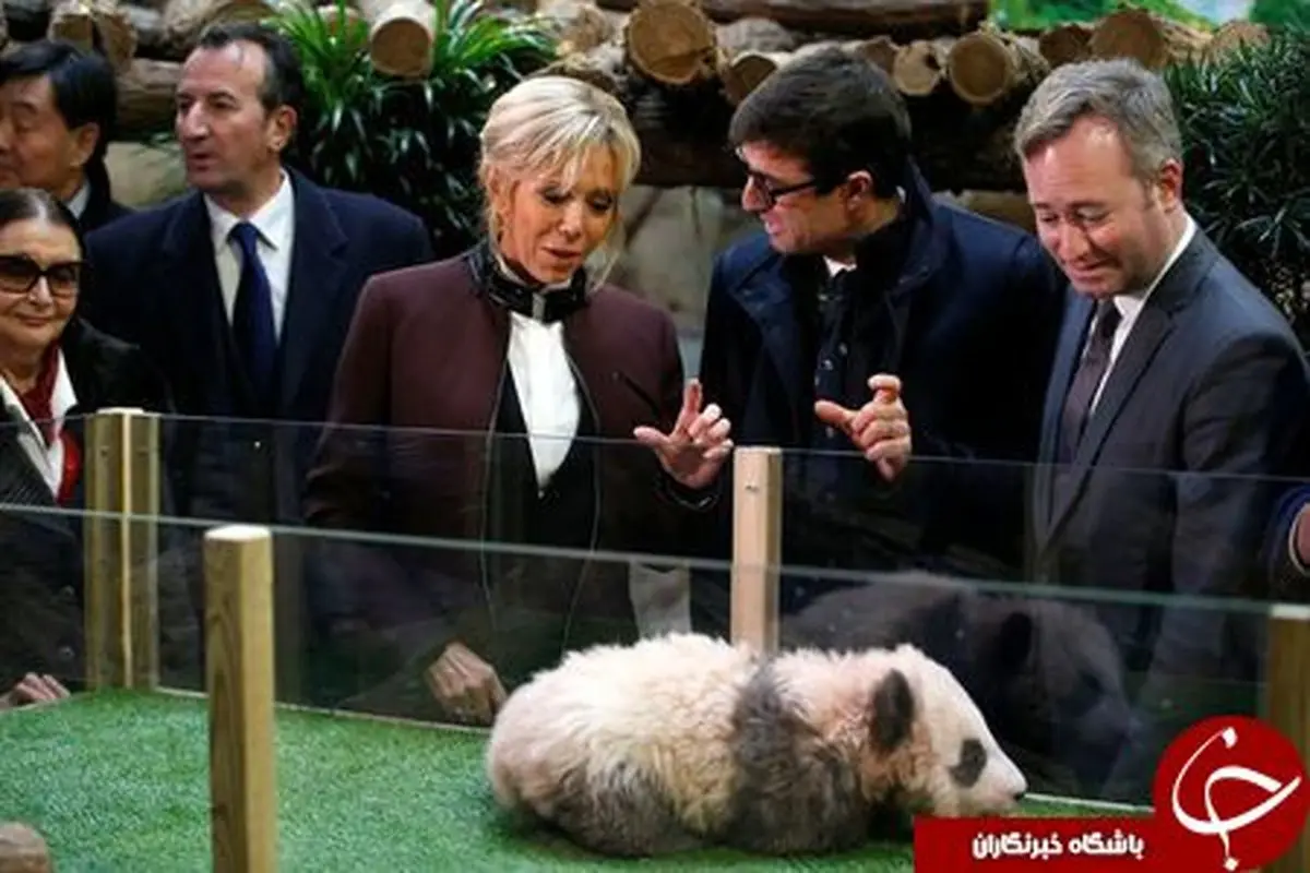 بانوی اول فرانسه، مادر تعمیدی یک پاندا شد!/تصاویر