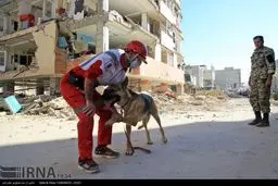 عکسی احساسی از تشکر نیروی هلال احمر از سگ زنده‌یاب در سرپل ذهاب/عکس