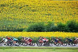 تصویری شگفت‌انگیز از یک مسابقه دوچرخه‌سواری