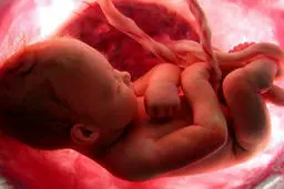 زنان نابارور حتما بخوانند: تاثیر استرس و افسردگی بر موفقیت روش‌های کمک باروری