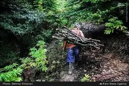 زندگی ناب روستایی به روایت تصویر