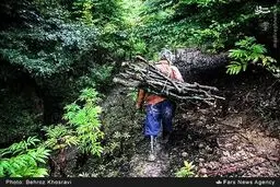 زندگی ناب روستایی به روایت تصویر