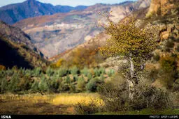 طبیعت پاییزی گرگان/تصاویر