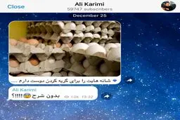 واكنش تلگرامى على كريمى به گرانى تخم مرغ!/عکس