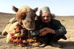 تصویری گریم عجیب آقای بازیگر در کنار شتر