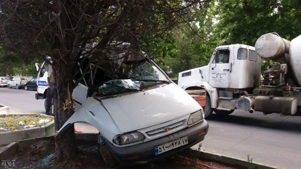 درخت، پراید را متلاشی کرد! /عکس