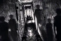 چرا اعتقاد به روح از ما آدم بهتری می‌سازد؟