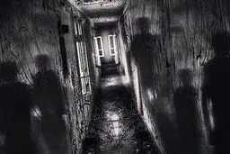 چرا اعتقاد به روح از ما آدم بهتری می‌سازد؟