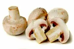 ۶ خاصیت شگفت‌انگیزِ قارچ برای سلامتی