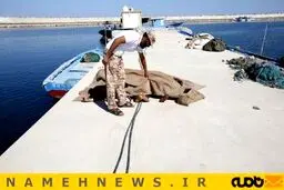 سفری برای مرگ یا خوشبختی/ تصاویر