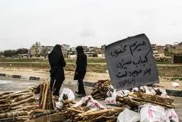 هیزم مخصوص کباب سیزده بدر/عکس