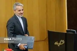 حواشی نشست خبری سخنگوی دولت/تصاویر