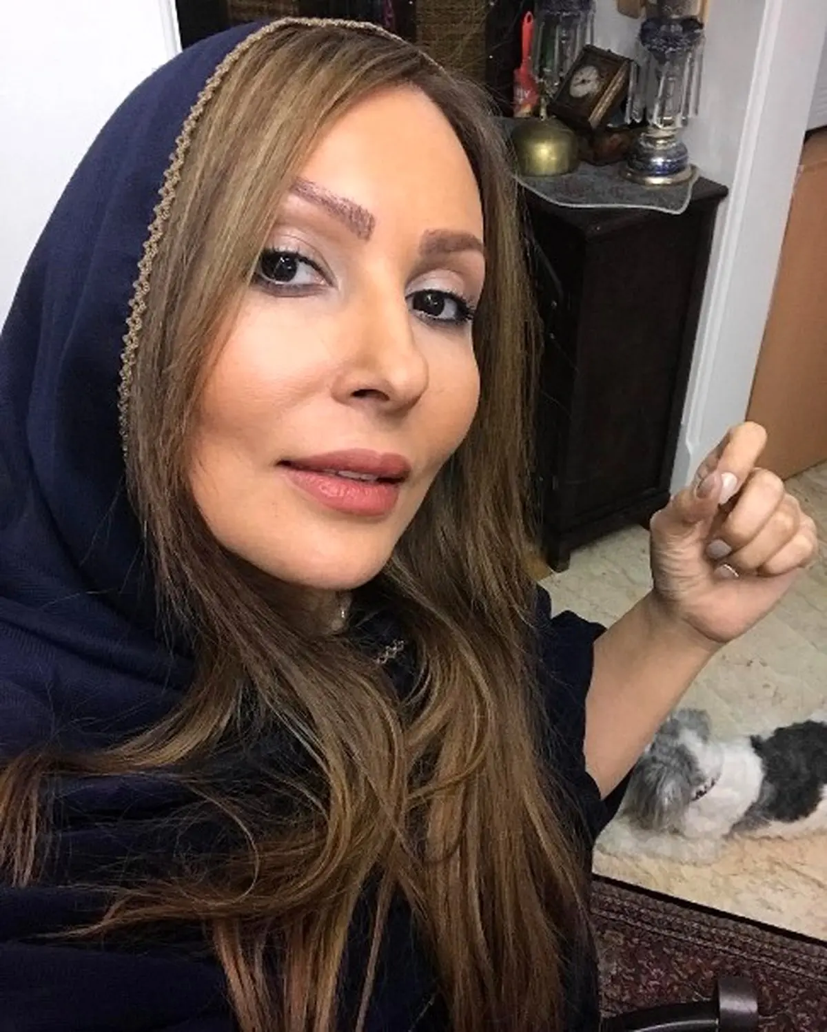 چهره پرستو صالحی با رنگ ظاهر جدیدش!