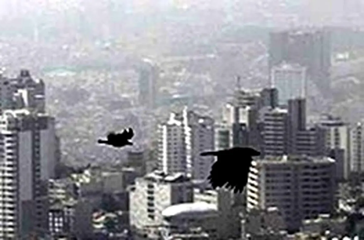 هوای تهران برای گروه‌های حساس ناسالم است