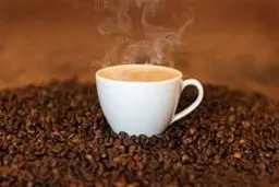 فواید شگفت انگیز مواد غذایی با طعم تلخ