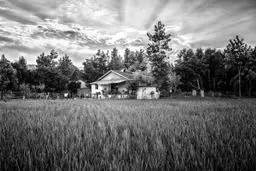 خانواده نیازمند با چهار فرزند معلول/تصاویر