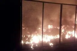 حمله با مواد آتش زا به دادگاه انقلاب اسلامی + عکس و جزئیات