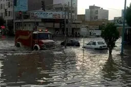 "گناوه"، ونیز شد! / تصاویر