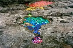 عکس های حیرت آور از هنرنمایی جالب با زباله ها / تصاویر