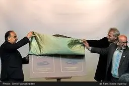 صدور شناسنامه و ثبت ملی خودروهای کلاسیک/ تصاویر