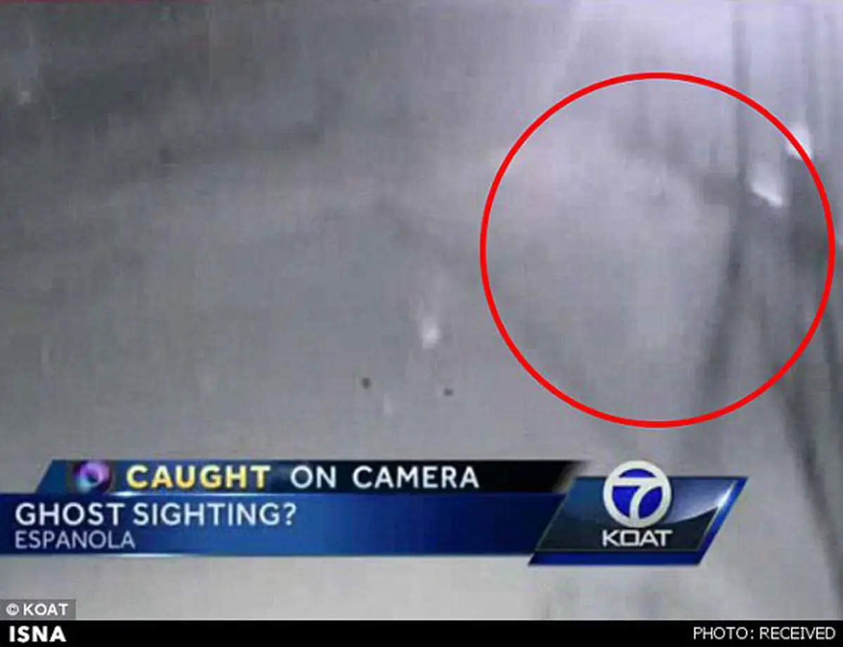 روح سرگردان در اداره پلیس!+عکس